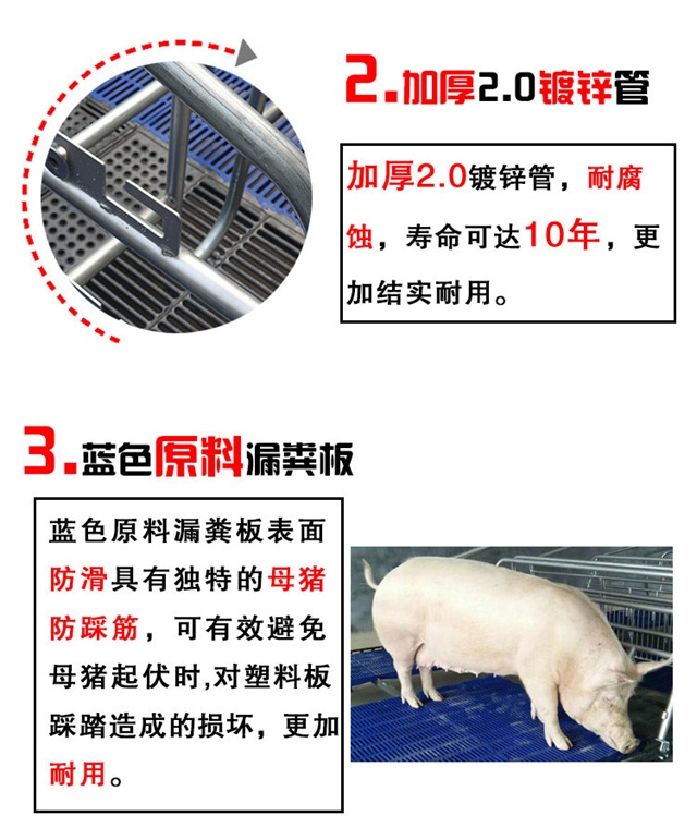 母猪产床图片