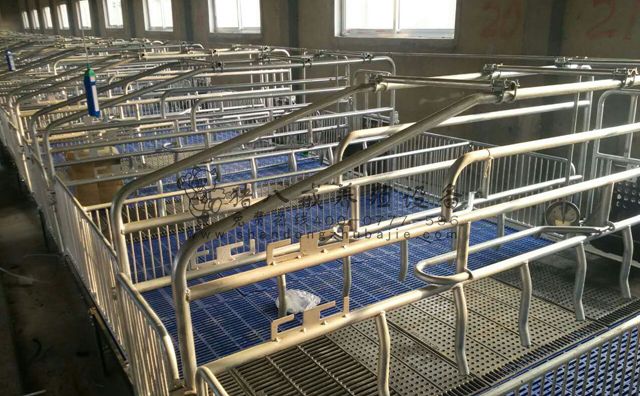 母猪产床,母猪产床厂家,猪八戒养殖设备