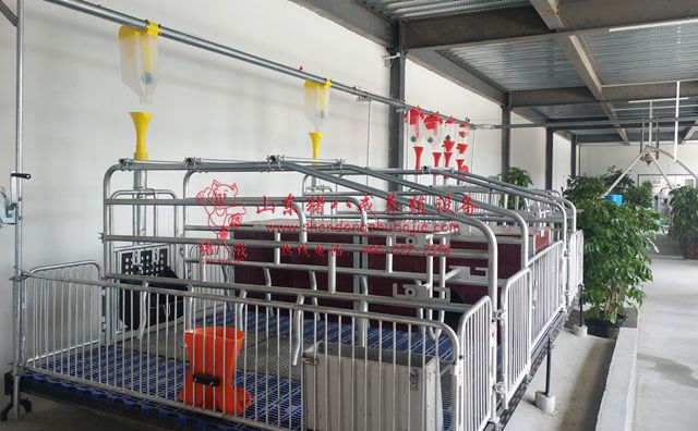 猪场自动喂料系统，自动喂料系统,山东猪八戒养殖设备