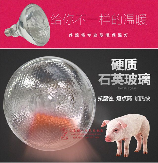 麻面兽用取暖灯泡,猪用烤灯,猪用取暖设备