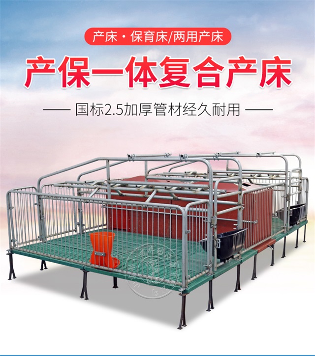 国标2.5产保一体母猪产床