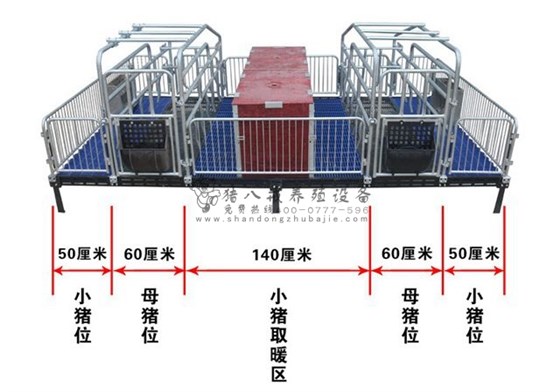 母猪产床图片