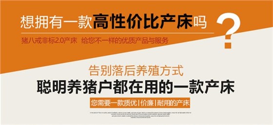 母猪产床