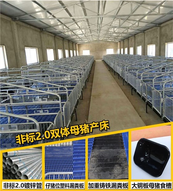 母猪产床
