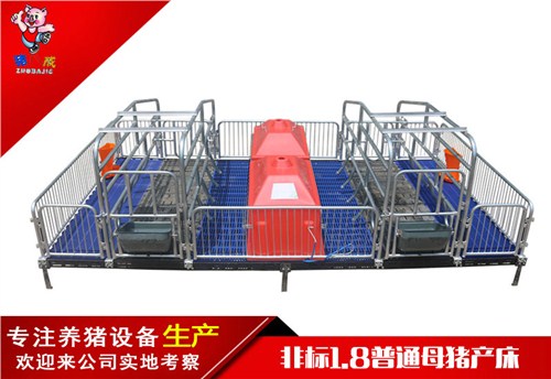 非标1.8-2.0猪用产床