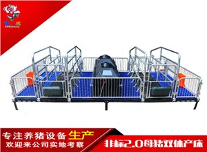 非标2.0母猪产床