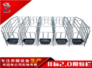2.0非标母猪限位栏