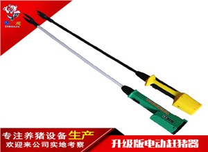 电动赶猪拍