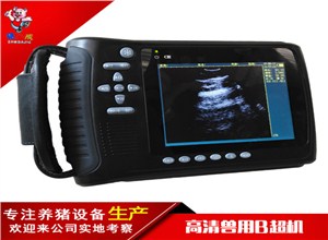 派尔兽用B超