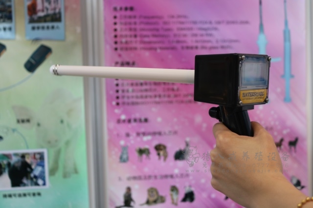 猪发情测定仪