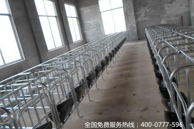 养殖设备,限位栏