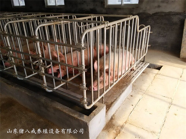 养猪用限位栏