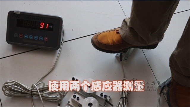 便携式仔猪测重仪器