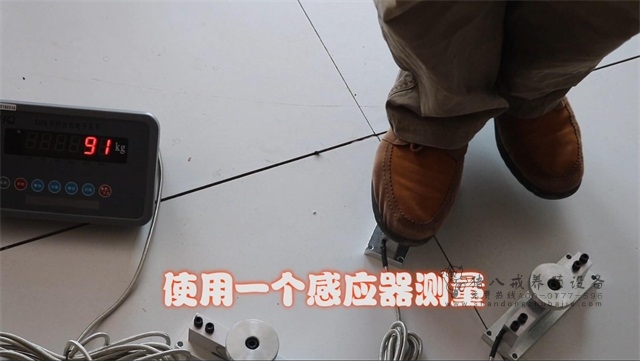 便携式仔猪测重仪器