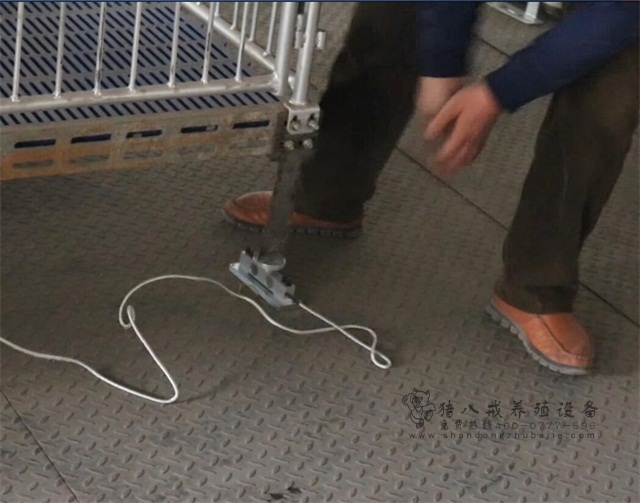 便携式仔猪测重仪器