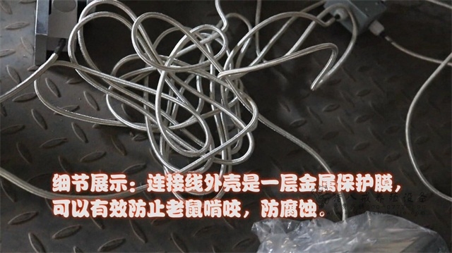 便携式仔猪测重仪