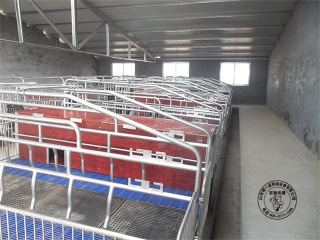 福建母猪产床图片