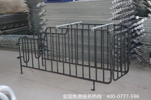 母猪定位栏图片