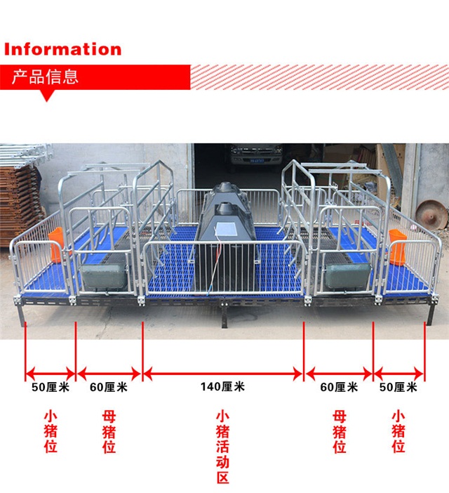 母猪产床图片