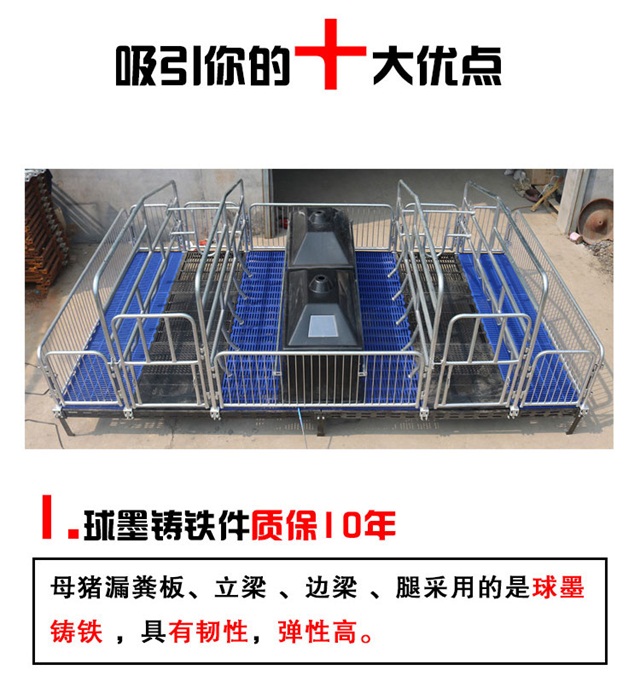 母猪产床图片