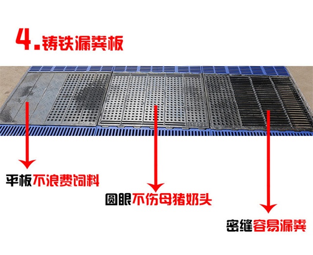母猪产床图片