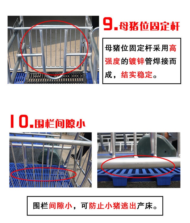 母猪产床