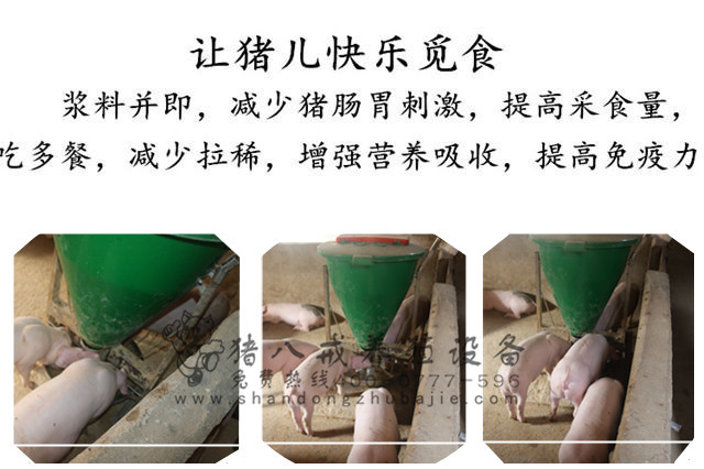 智能粥料器图片
