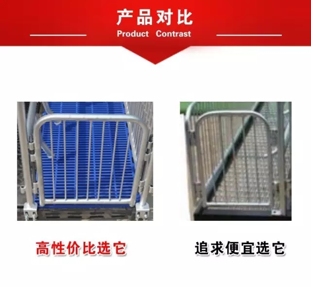 母猪产床,养殖设备,猪八戒养殖设备