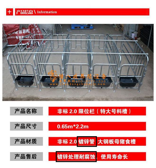限位栏,猪八戒养殖设备,养猪设备