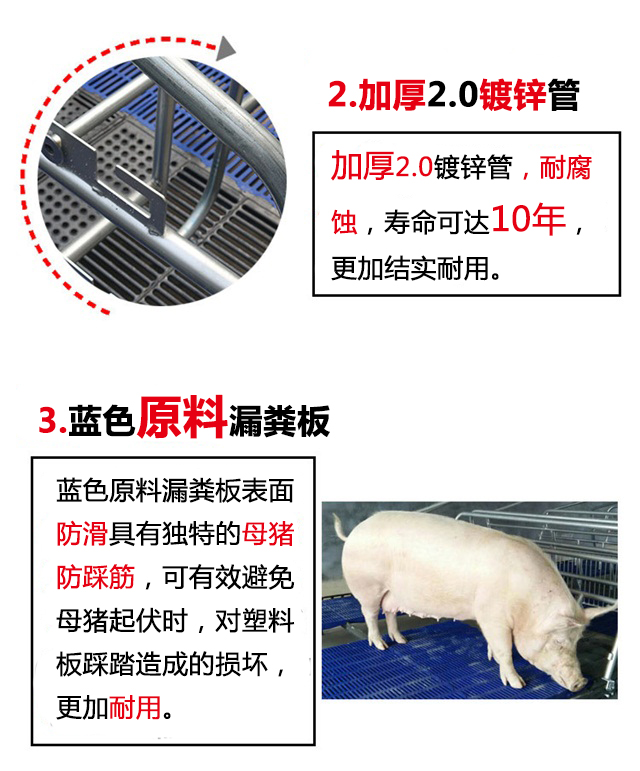 母猪产床,猪用产床,非标产床