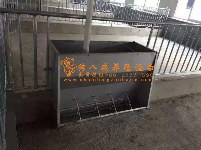 育肥料槽,山东猪八戒养殖设备