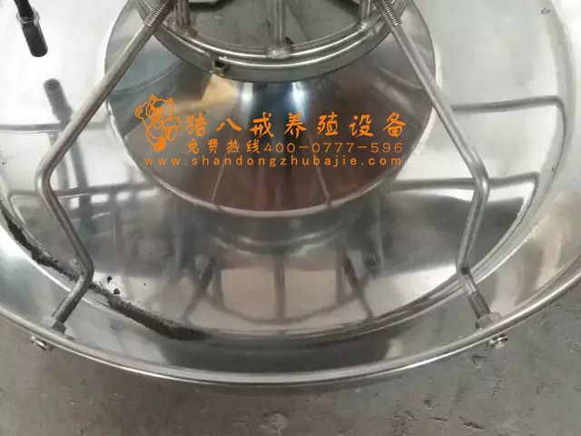 智能粥料器,粥料器,猪八戒养殖设备