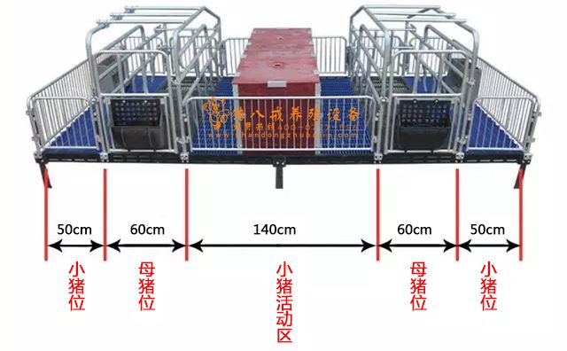 山东猪八戒养殖设备,母猪产床