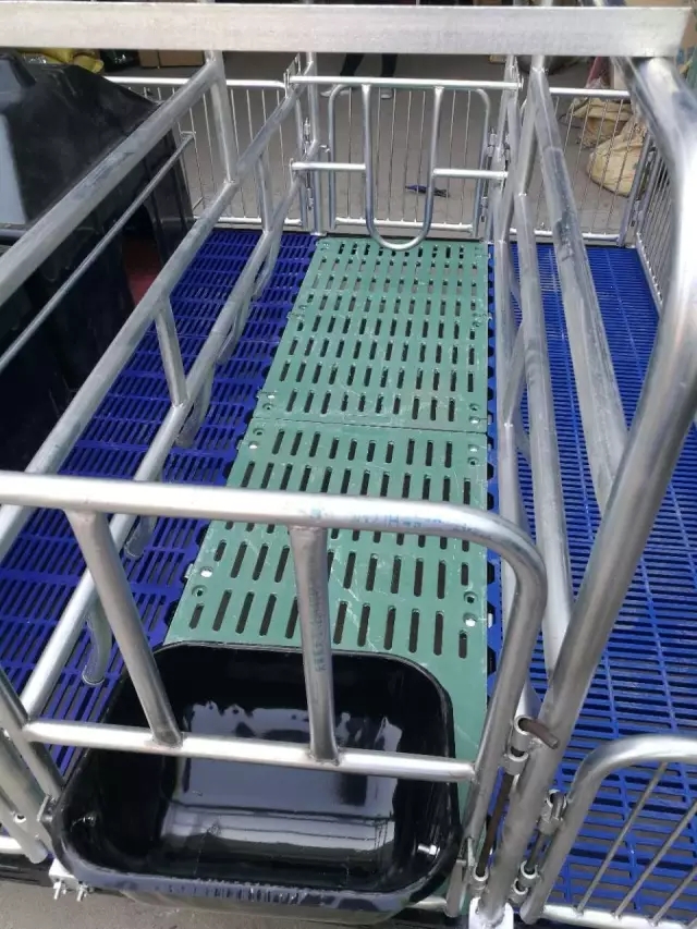 山东猪八戒养殖设备