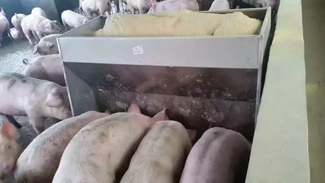 山东猪八戒养殖设备