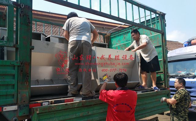 山东双面料槽厂家,山东双面料槽,双面料槽,猪八戒养殖设备