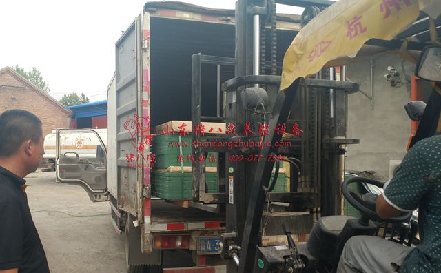 陕西复合母猪产床厂家,陕西复合母猪产床,复合母猪产床,猪八戒养殖设备