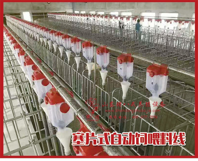 塞片料线|自动料线|自动喂料系统|料线