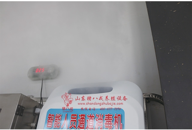 消毒机,消毒通道,壁挂式人员消毒通道