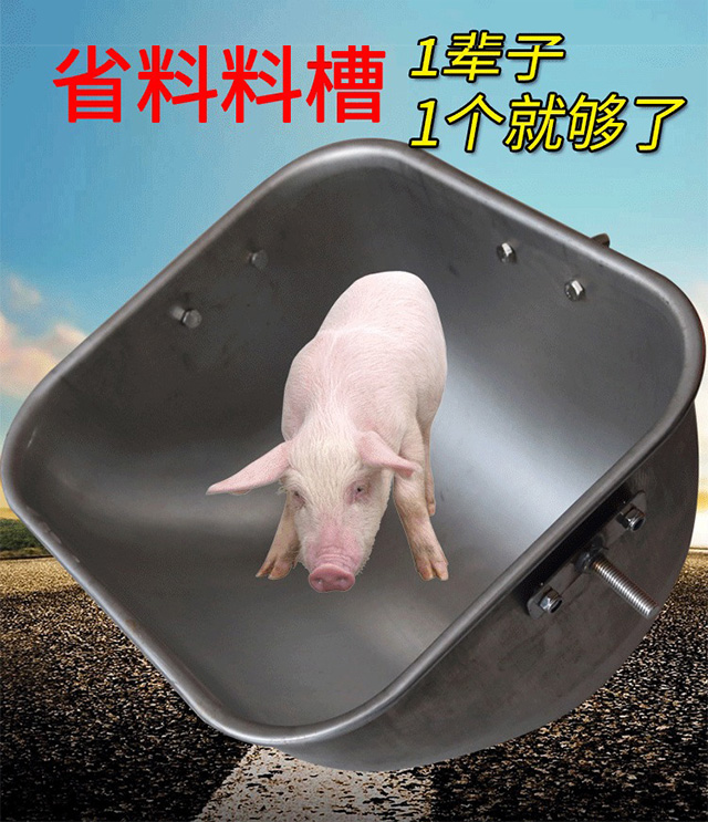 母猪料槽