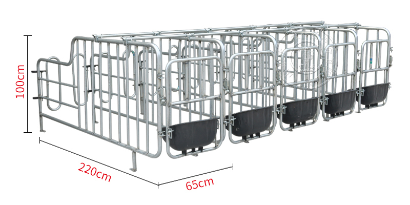 母猪限位栏