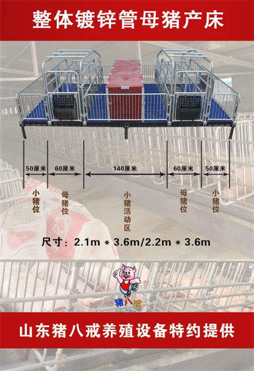 山东广大客户用上猪八戒国标2.5母猪产床