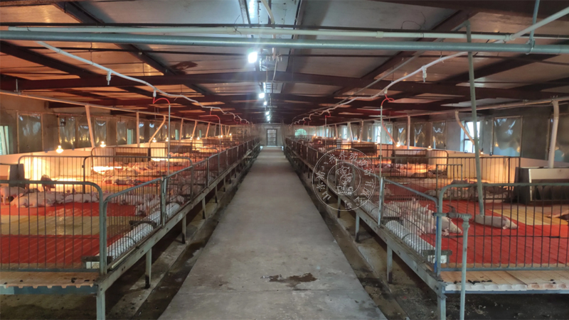 养猪场有必要给猪准备保温设备吗？