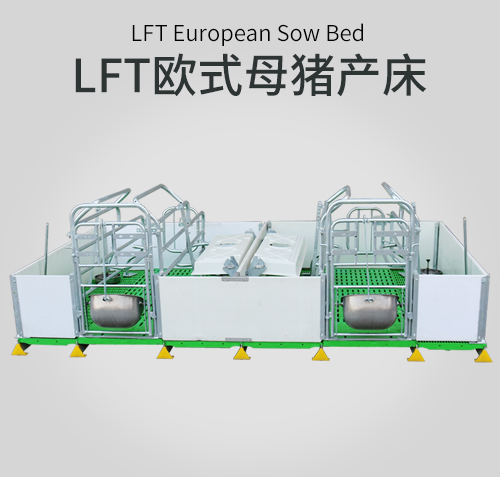 LFT欧式双体产床